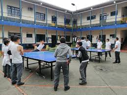 Descripción de la imagen