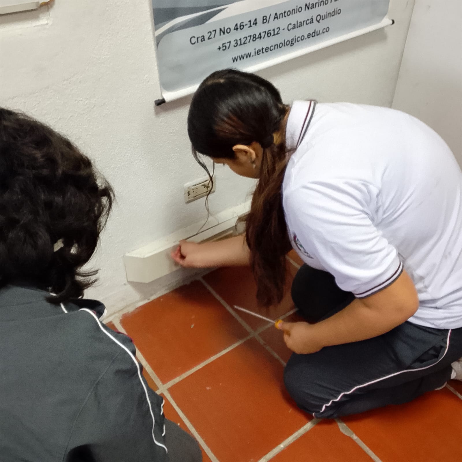 Descripción de la imagen