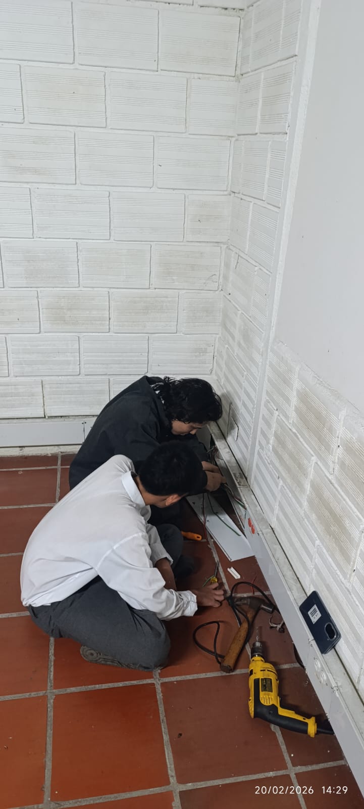 Descripción de la imagen